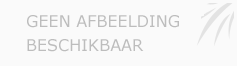 Afbeelding › Autoschade Huisman